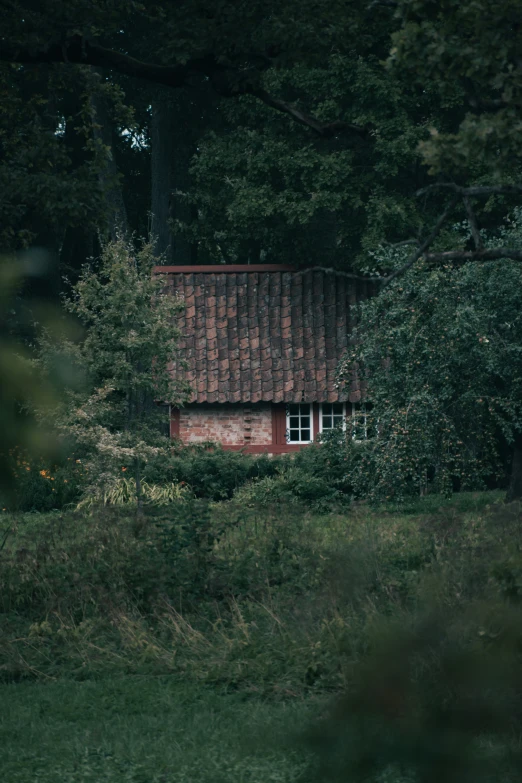 a cabin nestled amongst the woods is seen through the trees