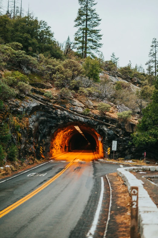 a road that is next to the forest