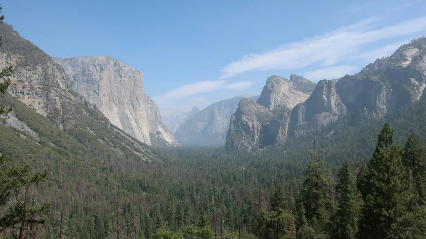 mountains with some very tall trees and rocks