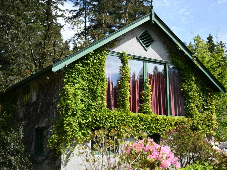 an image of a building with many plants on it