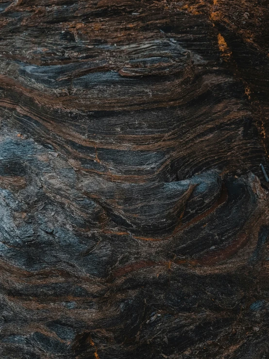 a closeup picture of an animal's fur with brown and blue streaks