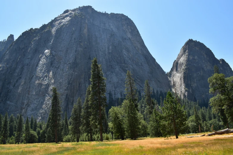 a grassy field with some trees and a rock formation