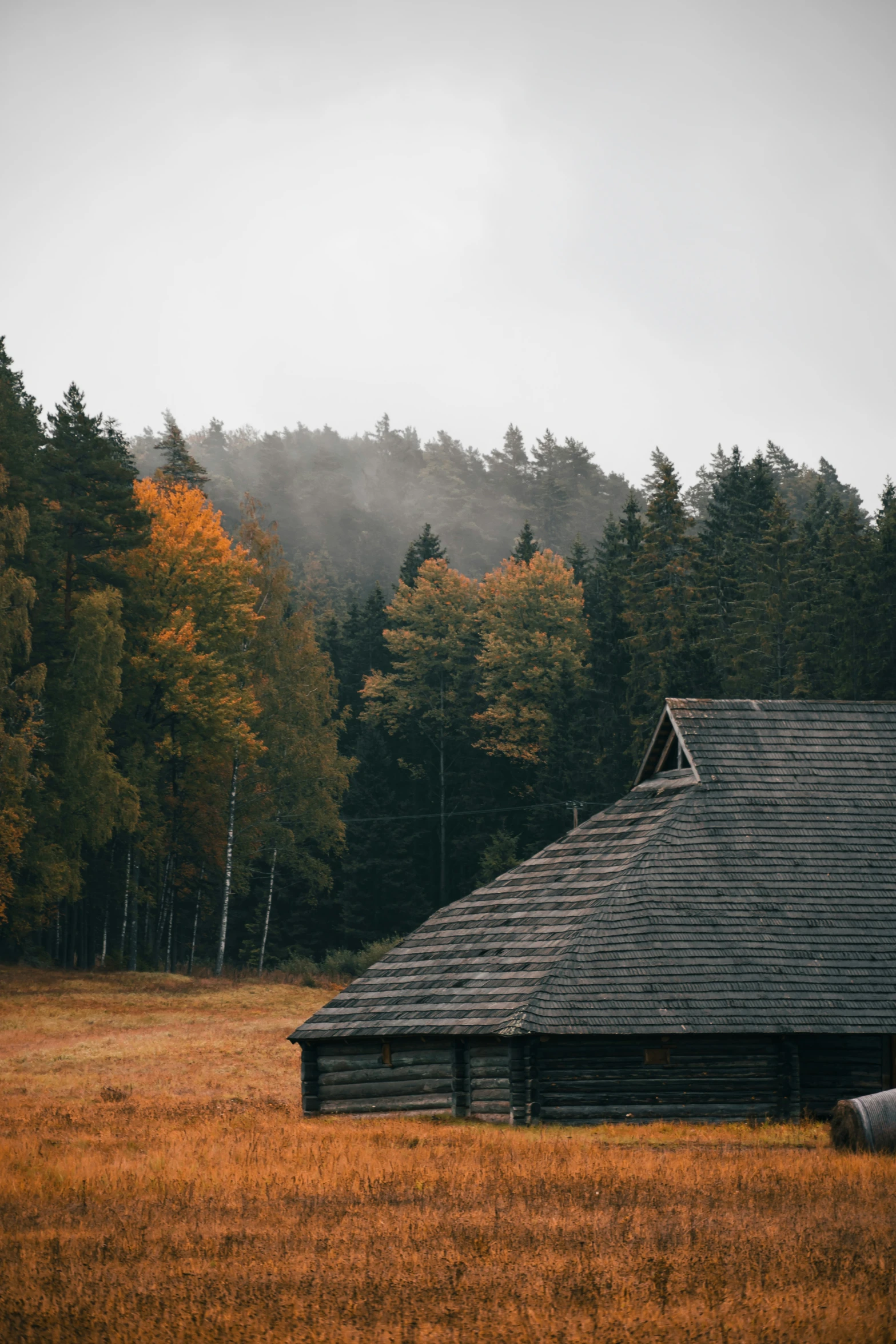 a cabin in a field with mountains and trees in the background