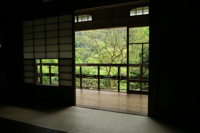 two windows that are open to view a forest