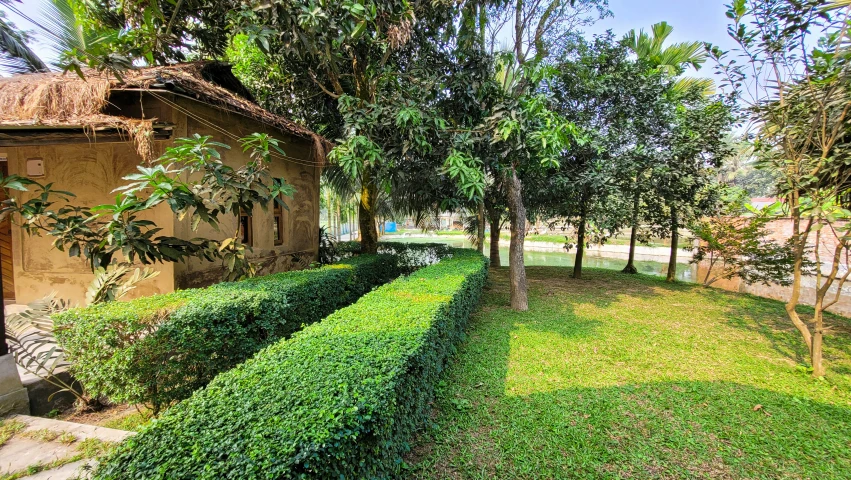 a lawn with lots of trees and bushes