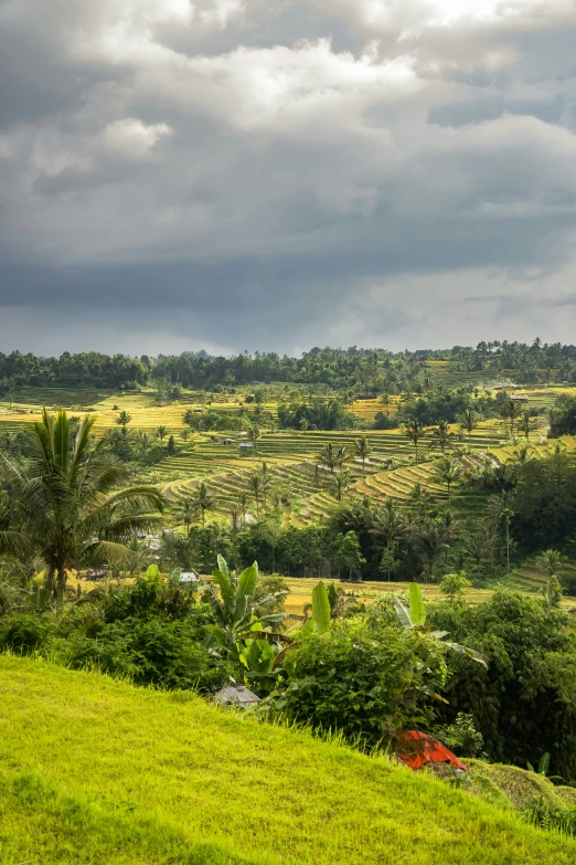 a lush green field sitting on top of a hillside