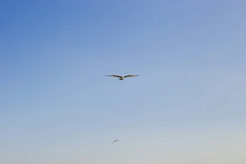 a large plane flies by on the horizon