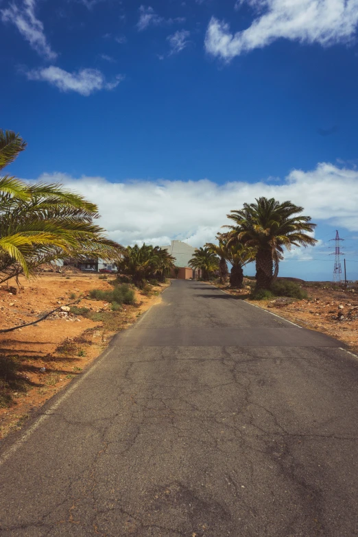 a deserted road near palm trees with blue skies in the background