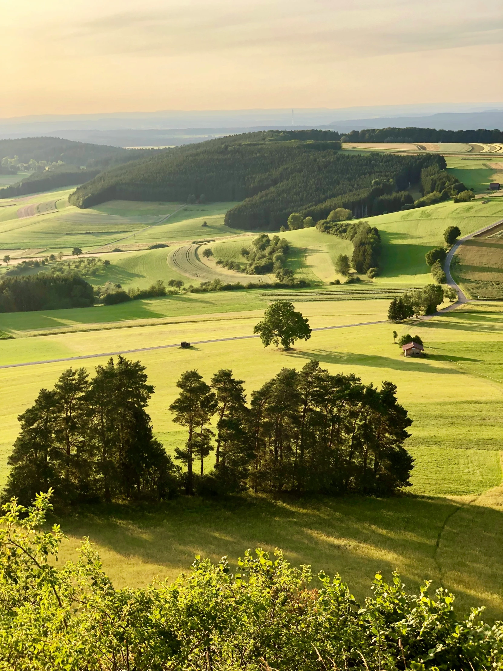 an open area with trees in the foreground and the horizon above it