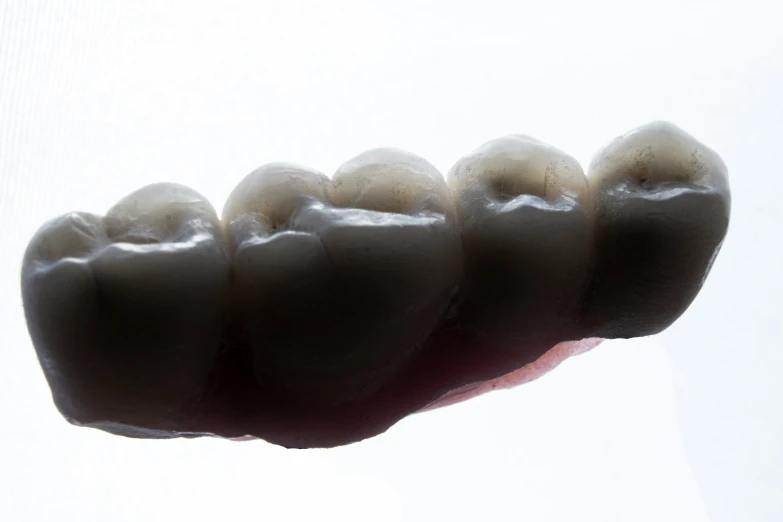 an artificial human's teeth is shown against a white background