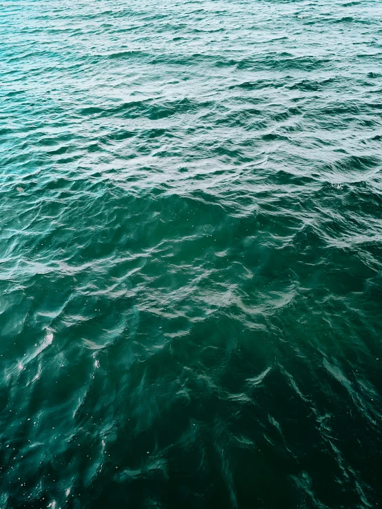 view looking down the waters from the water surface