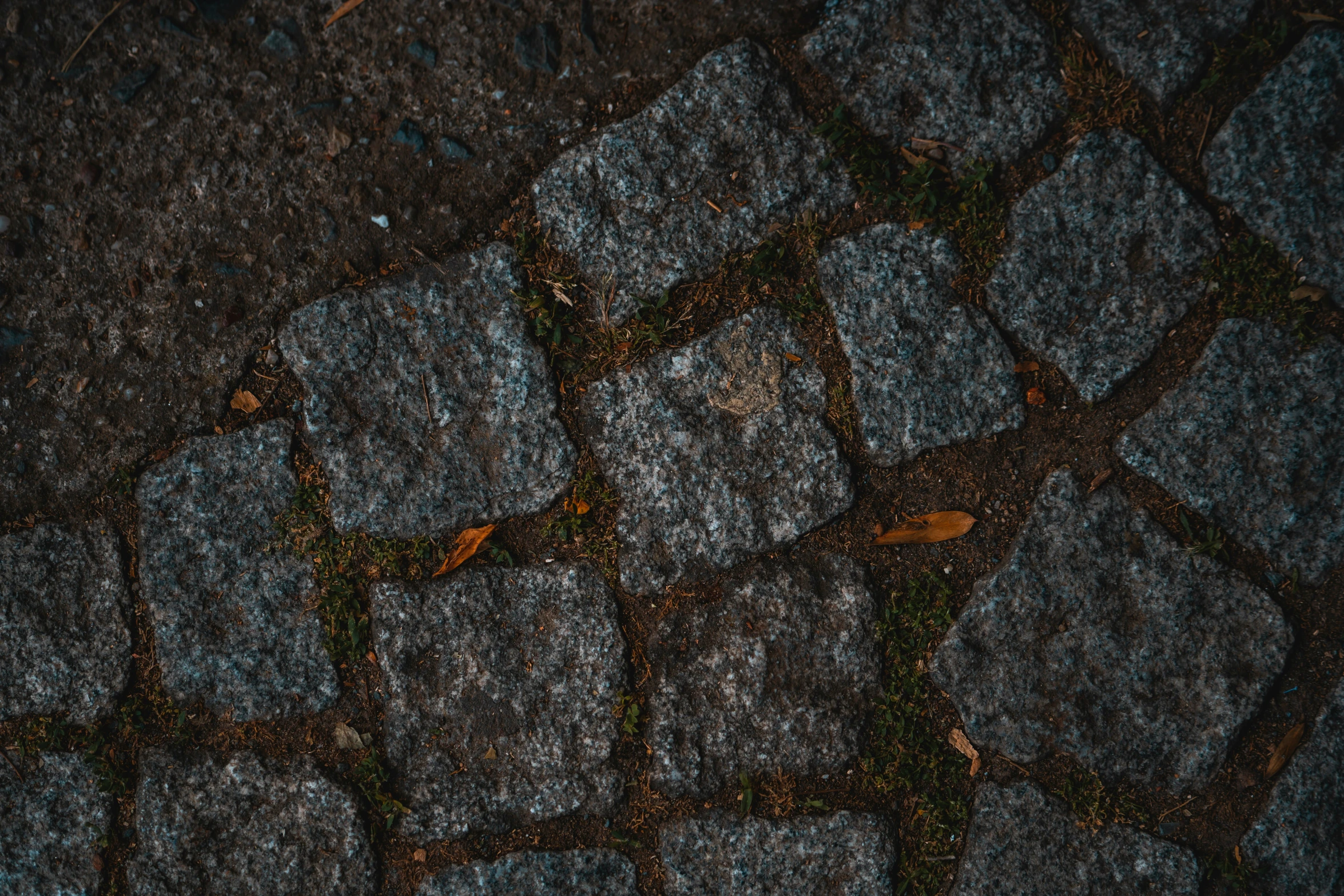 the po shows a textured brick pattern, with leaves in the background