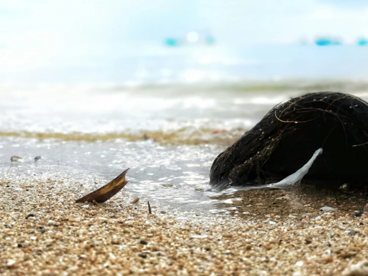 two birds are standing in the water and looking