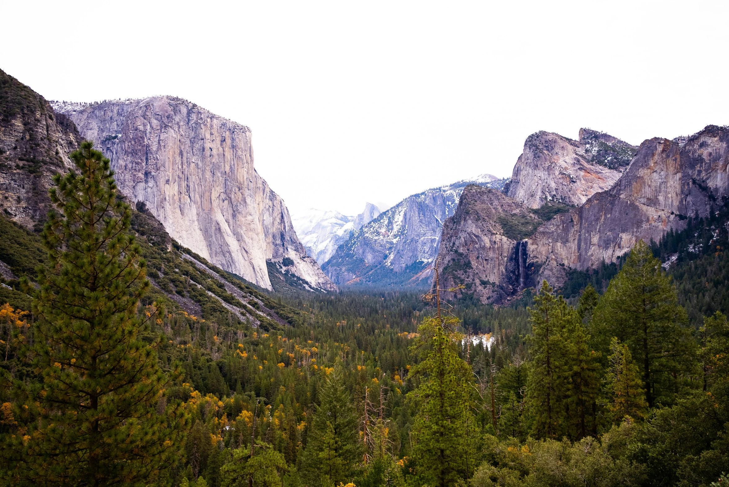 a view of mountains and trees during a cloudy day