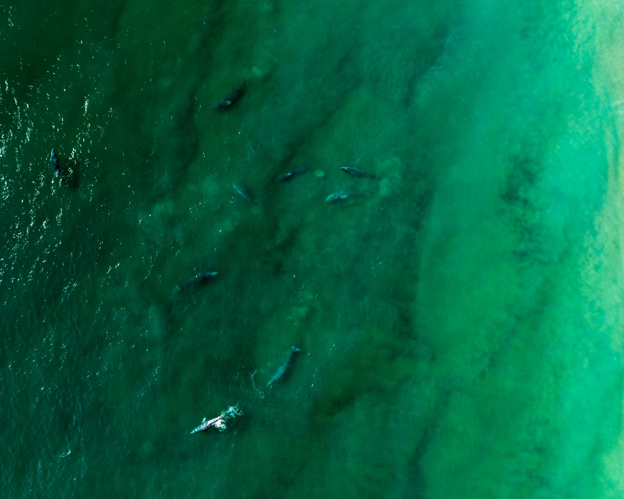 the large body of water has several people floating on it