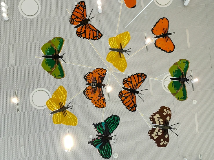 colorful erflies on a glass window with lights