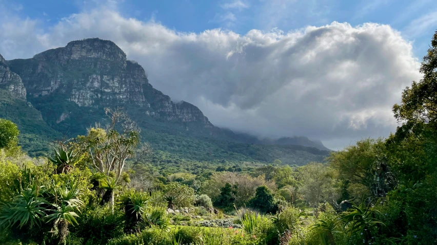 cloud over a mountain range in a forest