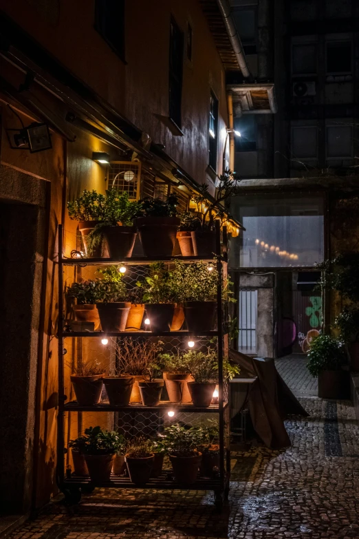 a street that has some pots and plants on a shelf