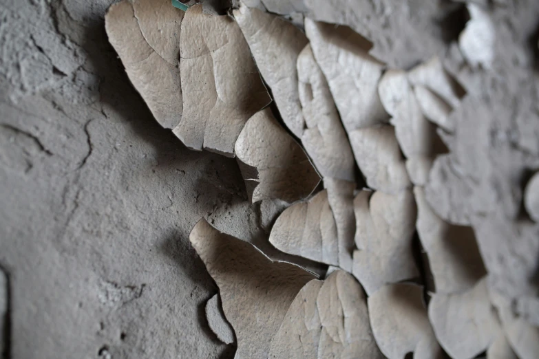 the wall is lined with mud and rocks