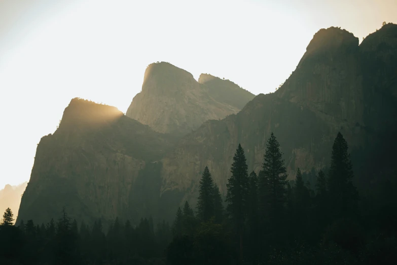 a mountain is shown behind the trees with some yellow fog