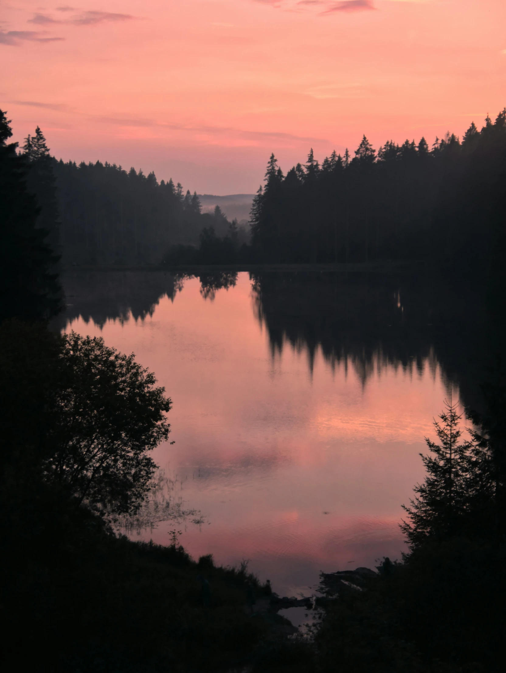 a calm lake sits next to the woods