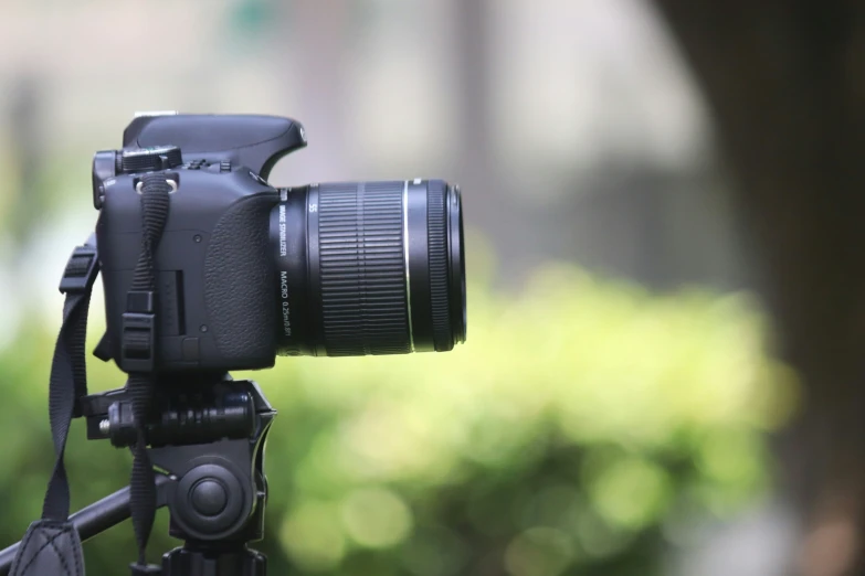 close up of a camera attached to a tripod with lots of greenery behind