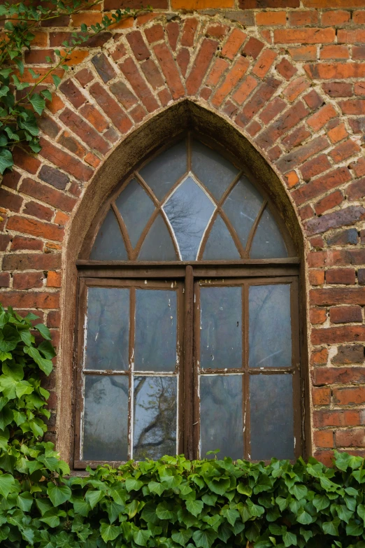 there is a window with a green plant outside