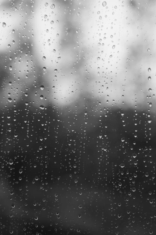 black and white po with water drops on a window