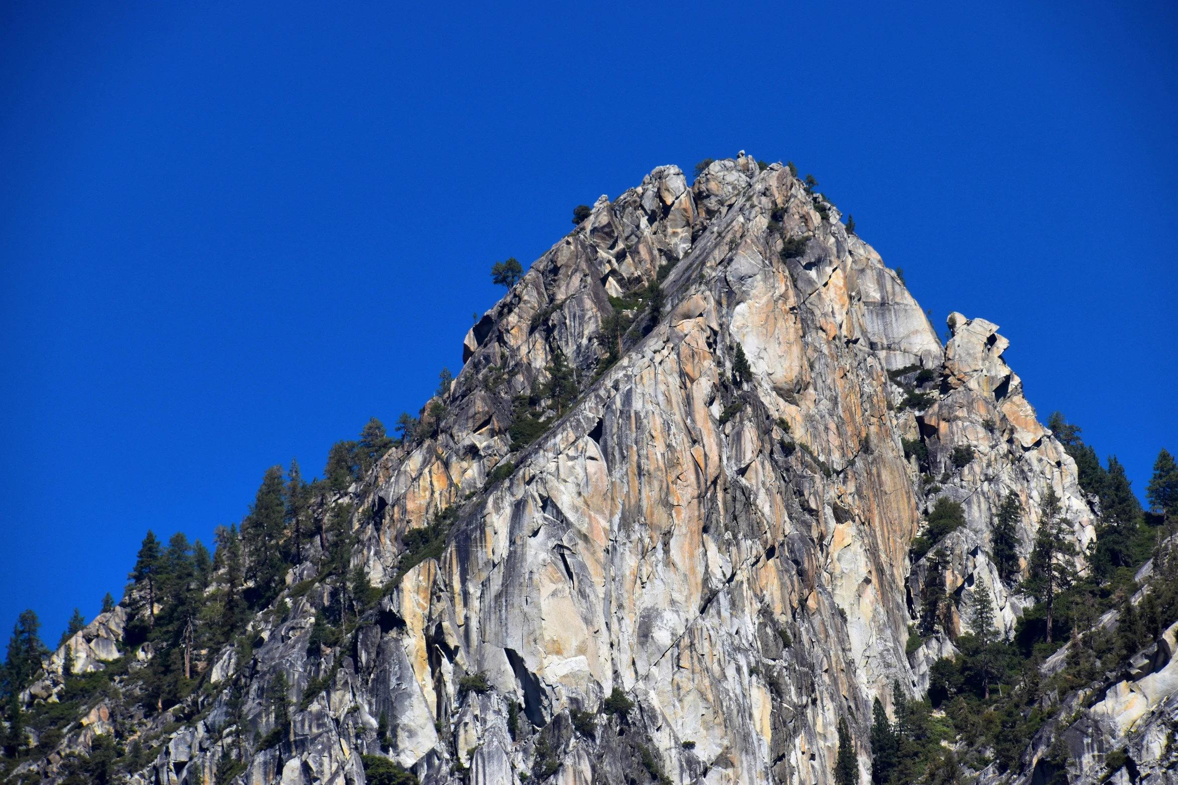 a rock formation is shown with pine trees on the side