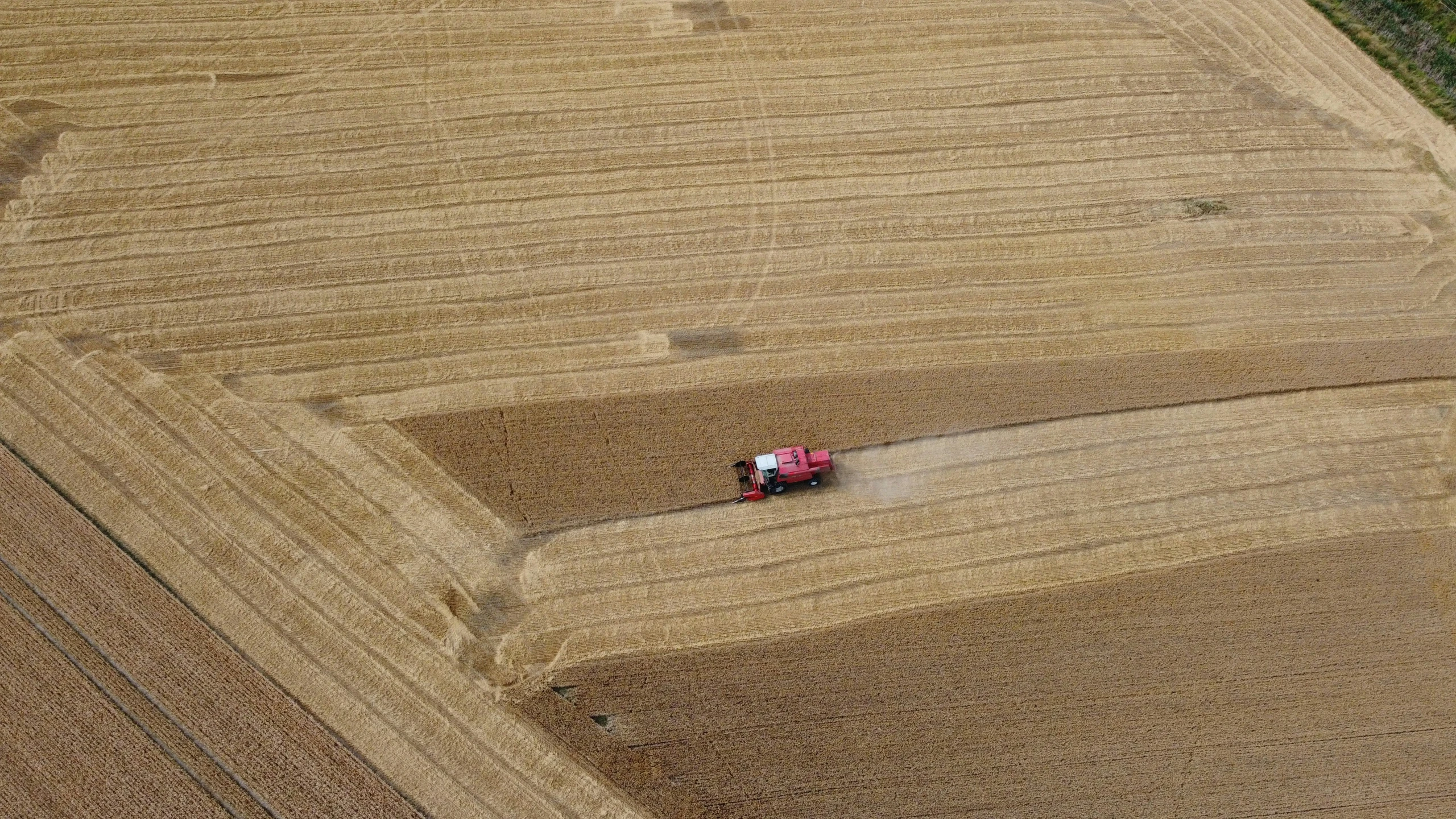 a farmer stands on a big farm field