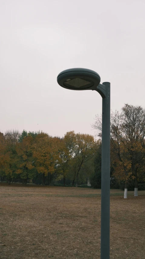 a light pole in a grassy field surrounded by trees