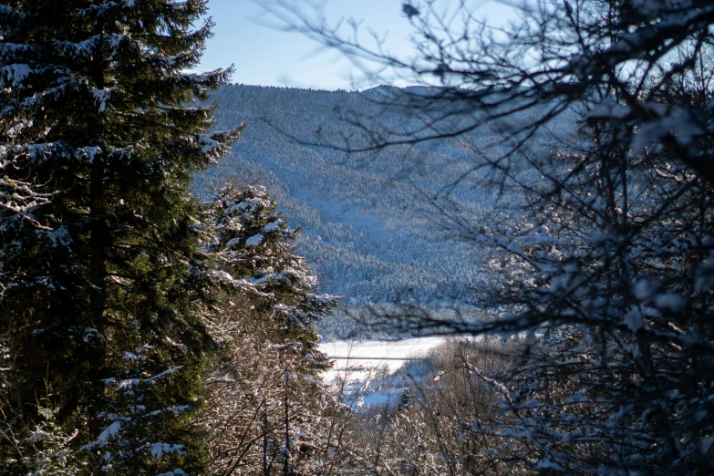 a snowy mountain with snow covered trees near a highway