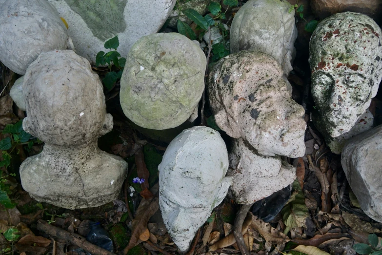 several rocks are in a pile and some plants are growing through them