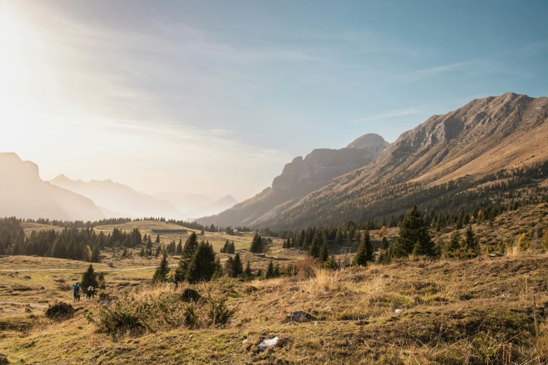 the person is hiking on a hill near many trees