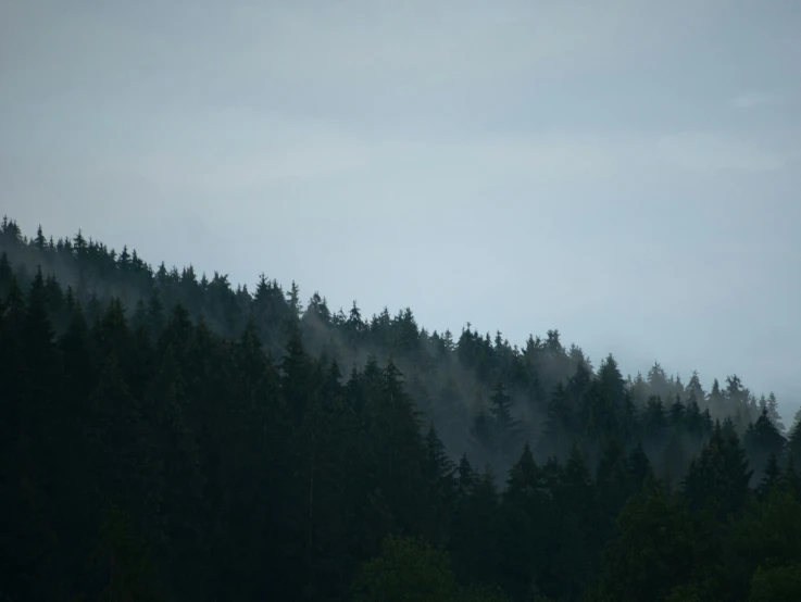 an airplane flying over the top of mountains in front of trees