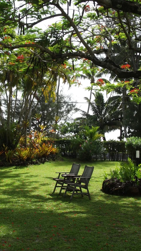 two benches are positioned next to each other near the trees