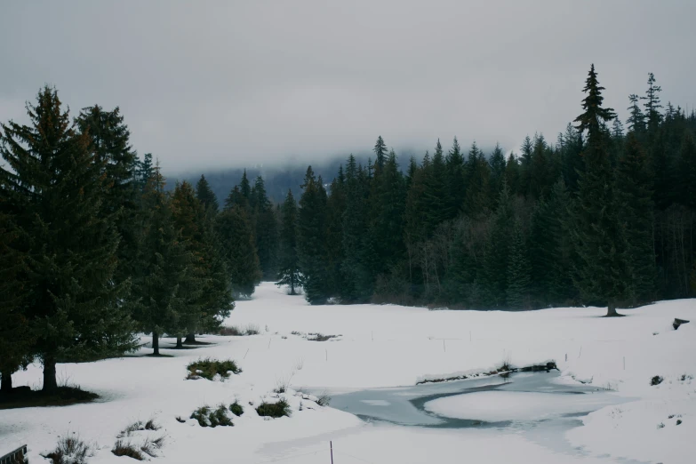 snow covers a golf hole and trees along the way