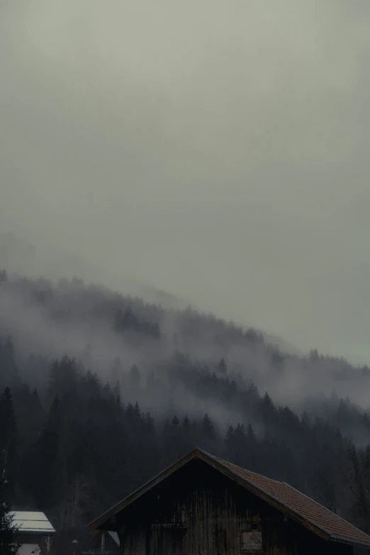 a foggy sky in the distance, with small trees in the background