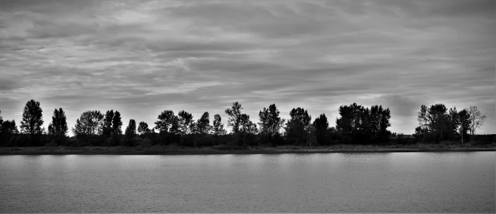 an image of trees with clouds over them