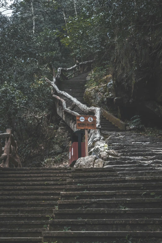 a set of steps leading to some type of building