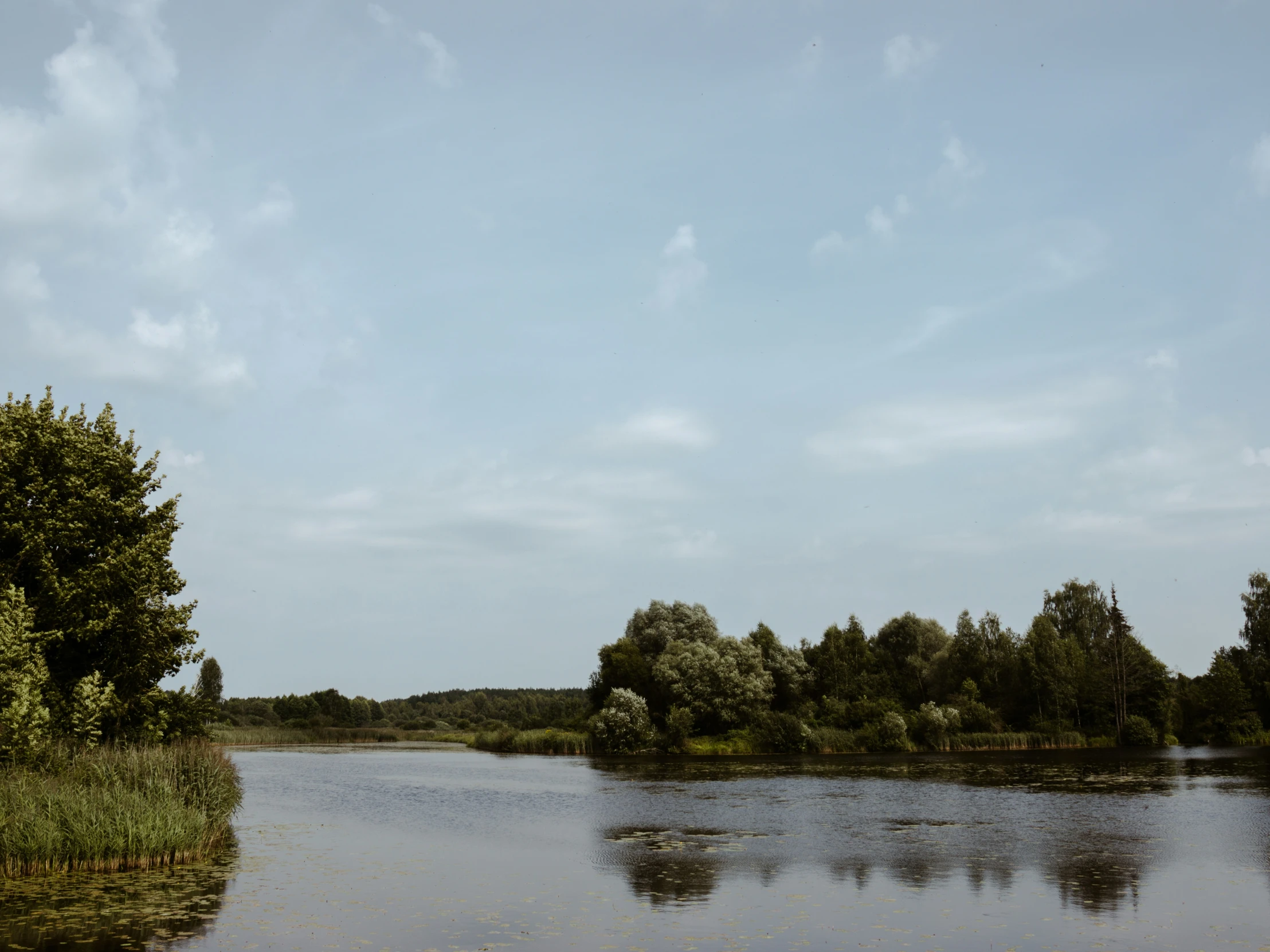 the lake sits empty, green and has little water