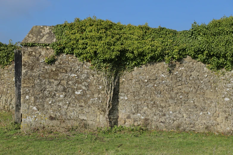 two large stone wall with a green top on grass