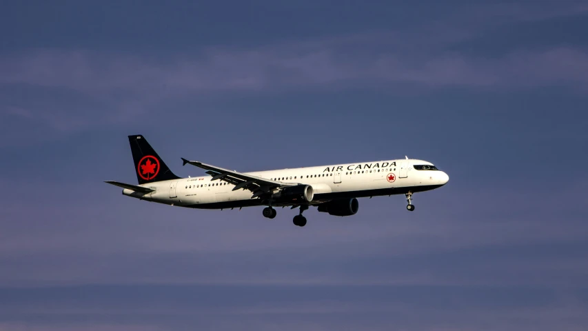 the jet airliner is ascending into the air