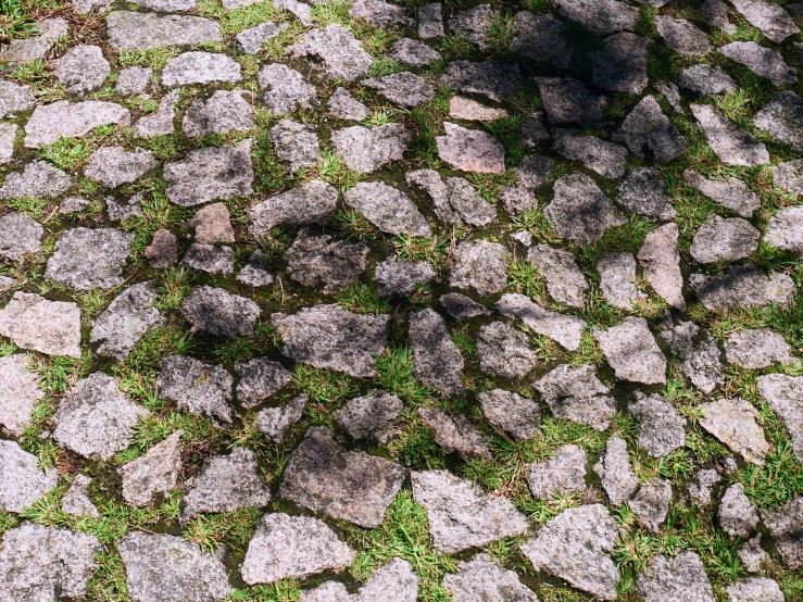 a bench sits in the grass by a big rocks