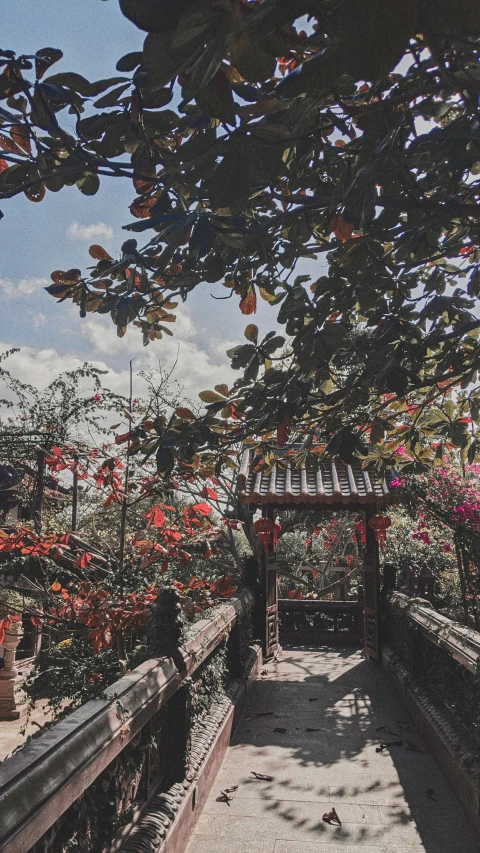 a view of a building and garden with red flowers