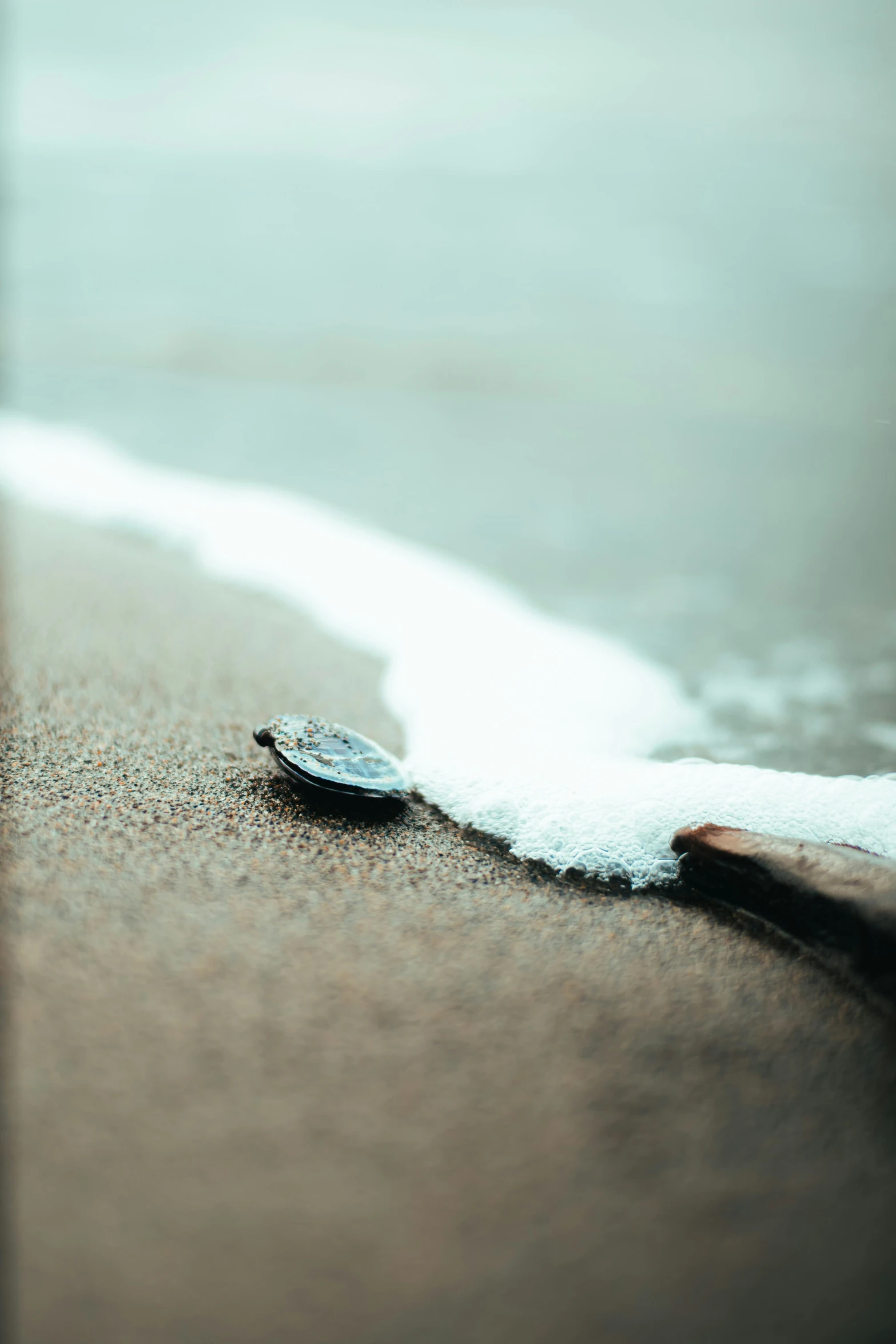 a broken glass sitting on top of an empty beach