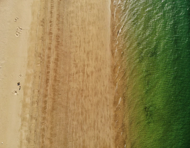 some people are walking along the shore with a boat