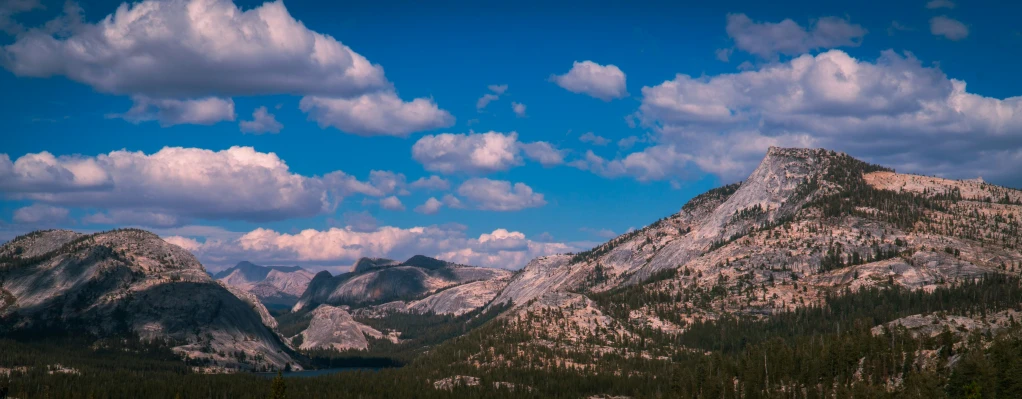 the mountain tops are covered in snow and pine trees