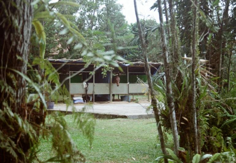 a covered area in the woods next to some trees