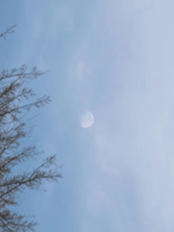 a large kite flying through a blue sky above trees